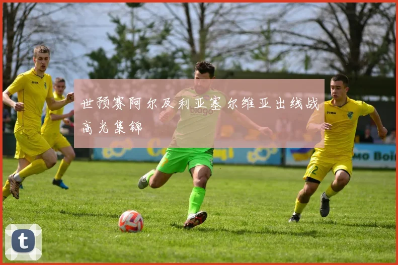 世预赛阿尔及利亚塞尔维亚出线战高光集锦