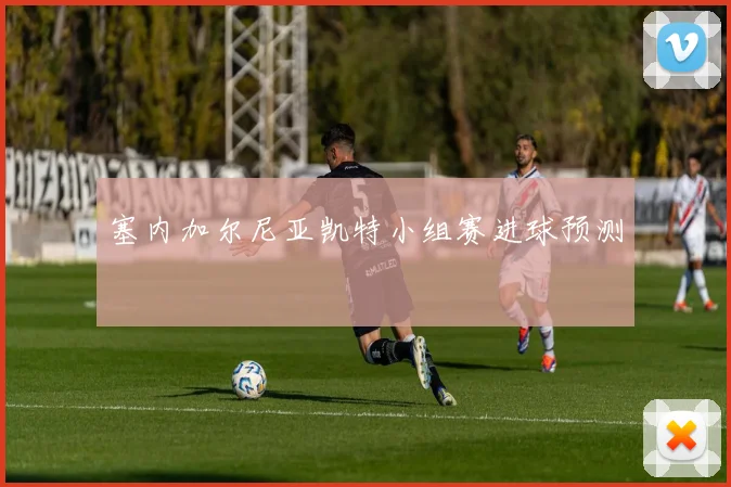 塞内加尔尼亚凯特小组赛进球预测