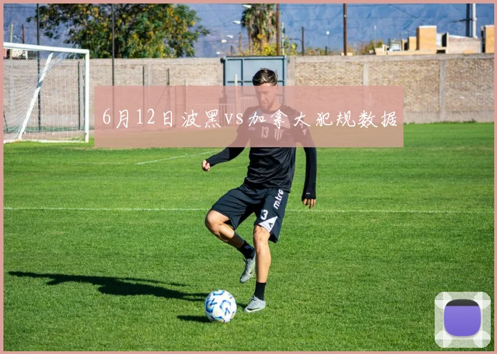 6月12日波黑vs加拿大犯规数据